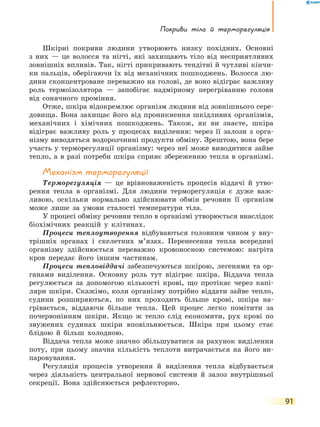 Покриви тіла й терморегуляція
91
Шкірні покриви людини утворюють низку похідних. Основні
з  них — це волосся та нігті, які захищають тіло від несприятливих
зовнішніх впливів. Так, нігті прикривають тендітні й чутливі кінчи-
ки пальців, оберігаючи їх від механічних пошкоджень. Волосся лю-
дини сконцентроване переважно на голові, де воно відіграє важливу
роль термоізолятора — запобігає надмірному перегріванню голови
від сонячного проміння.
Отже, шкіра відокремлює організм людини від зовнішнього сере­
довища. Вона захищає його від проникнення шкідливих організмів,
механічних і хімічних пошкоджень. Також, як ви знаєте, шкіра
відіграє важливу роль у процесах виділення: через її залози з орга-
нізму виводяться водорозчинні продукти обміну. Зрештою, вона бере
участь у терморегуляції організму: через неї може виводитися зайве
тепло, а в разі потреби шкіра сприяє збереженню тепла в організмі.
Механізм терморегуляції
Терморегуляція — це врівноваженість процесів віддачі й утво-
рення тепла в організмі. Для людини терморегуляція є дуже важ-
ливою, оскільки нормально здійснювати обмін речовин її організм
може лише за умови сталості температури тіла.
У процесі обміну речовин тепло в організмі утворюється внаслідок
біохімічних реакцій у клітинах.
Процеси теплоутворення відбуваються головним чином у вну-
трішніх органах і скелетних м’язах. Перенесення тепла всередині
організму здійснюється переважно кровоносною системою: нагріта
кров передає його іншим частинам.
Процеси тепловіддачі забезпечуються шкірою, легенями та ор-
ганами виділення. Основну роль тут відіграє шкіра. Віддача тепла
регулюється за допомогою кількості крові, що протікає через капі-
ляри шкіри. Скажімо, коли організму потрібно віддати зайве тепло,
судини розширяються, по них проходить більше крові, шкіра на-
грівається, віддаючи більше тепла. Цей процес легко помітити за
почервонінням шкіри. Якщо ж тепло слід економити, рух крові по
звужених судинах шкіри вповільнюється. Шкіра при цьому стає
блідою й більш холодною.
Віддача тепла може значно збільшуватися за рахунок виділення
поту, при цьому значна кількість теплоти витрачається на його ви-
паровування.
Регуляція процесів утворення й виділення тепла відбувається
через діяльність центральної нервової системи й залоз внутрішньої
секреції. Вона здійснюється рефлекторно.
 