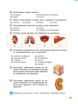 95
10 Найглибшим шаром шкіри є:
а) епідерміс в) підшкірна клітковина
б) дерма г) ніготь
11 Орган, який відіграє головну роль у процесах тепловіддачі:
а) печінка б) шкіра в) серце г) легені
12 Закупорювання протоків сальних залоз спричиняє:
а) коросту в) вугри
б) родимки г) грибкові захворювання
13 Укажіть назви органів, які зображені на малюнках.
а) б) в) г)
14 Установіть відповідність між структурами видільної системи
та захворюваннями, які їх уражають.
1) клубочки нефрону
2) ниркова миска
3) сечівник
4) сечовий міхур
а) уретрит
б) пієлонефрит
в) цистит
г) гломерулонефрит
д) гастрит
15 Розгляньте зображення органа на ма-
люнку. Поясніть, які особливості будови
цього органа дозволяють йому ефектив-
но виконувати свої функції.
16 Розгляньте зображення органа на ма-
люнку. Поясніть, які захворювання мо-
жуть його вражати і як їх можна по-
передити.
Перевірте свої знання з теми «Виділення. Терморегуляція»
 