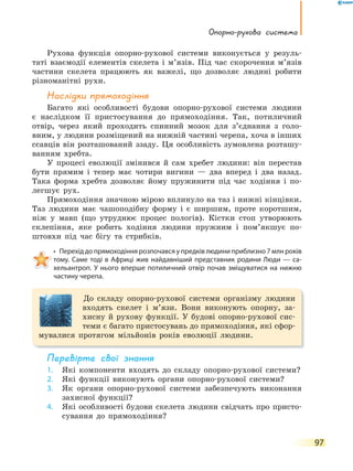 Опорно-рухова система
97
Рухова функція опорно-рухової системи виконується у резуль-
таті взаємодії елементів скелета і м’язів. Під час скорочення м’язів
частини скелета працюють як важелі, що дозволяє людині робити
різноманітні рухи.
Наслідки прямоходіння
Багато які особливості будови опорно-рухової системи людини
є наслідком її пристосування до прямоходіння. Так, потиличний
отвір, через який проходить спинний мозок для з’єднання з голо-
вним, у людини розміщений на нижній частині черепа, хоча в інших
ссавців він розташований ззаду. Ця особливість зумовлена розташу-
ванням хребта.
У процесі еволюції змінився й сам хребет людини: він перестав
бути прямим і тепер має чотири вигини — два вперед і два назад.
Така форма хребта дозволяє йому пружинити під час ходіння і по-
легшує рух.
Прямоходіння значною мірою вплинуло на таз і нижні кінцівки.
Таз людини має чашоподібну форму і є ширшим, проте коротшим,
ніж у мавп (що утруднює процес пологів). Кістки стоп утворюють
склепіння, яке робить ходіння людини пружним і пом’якшує по-
штовхи під час бігу та стрибків.
• Перехід до прямоходіння розпочався у предків людини приблизно 7 млн років
тому. Саме тоді в Африці жив найдавніший представник родини Люди — са-
хельантроп. У нього вперше потиличний отвір почав зміщуватися на нижню
частину черепа.
До складу опорно-рухової системи організму людини
входять скелет і м’язи. Вони виконують опорну, за-
хисну й рухову функції. У будові опорно-рухової сис-
теми є багато пристосувань до прямоходіння, які сфор-
мувалися протягом мільйонів років еволюції людини.
перевірте свої знання
1. Які компоненти входять до складу опорно-рухової системи?
2. Які функції виконують органи опорно-рухової системи?
3. Як органи опорно-рухової системи забезпечують виконання
захисної функції?
4. Які особливості будови скелета людини свідчать про присто-
сування до прямоходіння?
 