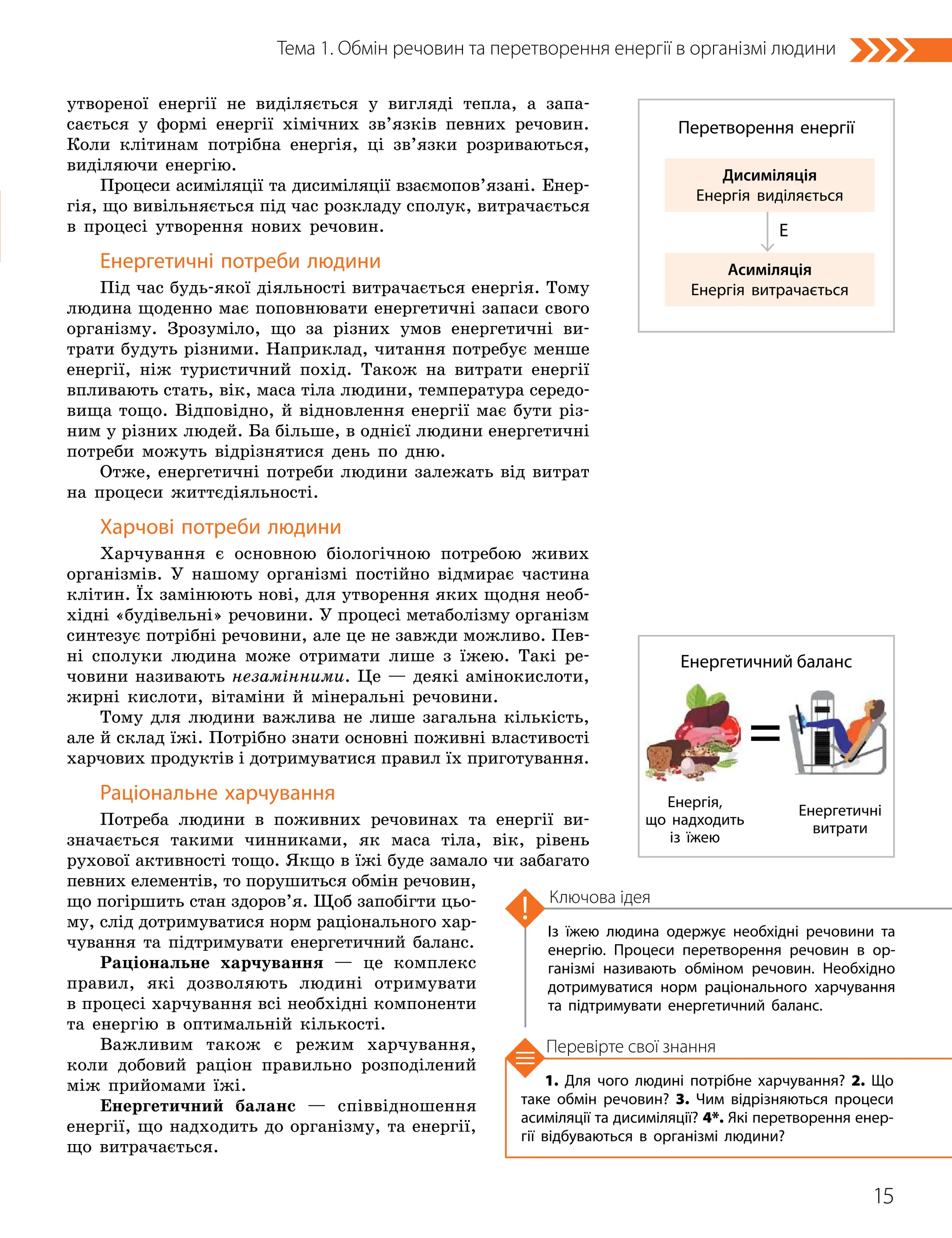 15
Тема 1. Обмін речовин та перетворення енергії в організмі людини
1. Для чого людині потрібне харчування? 2. Що
таке обмін речовин? 3. Чим відрізняються процеси
асиміляції та дисиміляції? 4*. Які перетворення енер­
гії відбуваються в організмі людини?
Із їжею людина одержує необхідні речовини та
енергію. Процеси перетворення речовин в ор­
ганізмі називають обміном речовин. Необхідно
дотримуватися норм раціонального харчування
та підтримувати енергетичний баланс.
Ключова ідея
Перевірте свої знання
утвореної енергії не виділяється у вигляді тепла, а запа-
сається у формі енергії хімічних зв’язків певних речовин.
Коли клітинам потрібна енергія, ці зв’язки розриваються,
виділяючи енергію.
Процеси асиміляції та дисиміляції взаємо­­
пов’язані. Енер-
гія, що вивільняється під час розкладу сполук, витрачається
в процесі утворення нових речовин.
Енергетичні потреби людини
Під час будь-якої діяльності витрачається енергія. Тому
людина щоденно має попов­
нювати енергетичні запаси свого
організму. Зрозуміло, що за різних умов енергетичні ви-
трати будуть різними. Наприклад, читання потребує менше
енергії, ніж туристичний похід. Також на витрати енергії
впливають стать, вік, маса тіла людини, температура середо­
вища тощо. Відповідно, й відновлення енергії має бути різ-
ним у різних людей. Ба більше, в однієї людини енергетичні
потреби можуть відрізнятися день по дню.
Отже, енергетичні потреби людини залежать від витрат
на процеси життєдіяльності.
Харчові потреби людини
Харчування є основною біологічною потребою живих
організмів. У нашому організмі постійно відмирає частина
клітин. Їх замінюють нові, для утворення яких щодня необ-
хідні «будівельні» речовини. У процесі метаболізму організм
синтезує потрібні речовини, але це не завжди можливо. Пев-
ні сполуки людина може отримати лише з їжею. Такі ре-
човини називають незамінними. Це — деякі амінокислоти,
жирні кислоти, вітаміни й мінеральні речовини.
Тому для людини важлива не лише загальна кількість,
але й склад їжі. Потрібно знати основні поживні властивості
харчових продуктів і дотримуватися правил їх приготування.
Раціональне харчування
Потреба людини в поживних речовинах та енергії ви-
значається такими чинниками, як маса тіла, вік, рівень
рухової активності тощо. Якщо в їжі буде замало чи забагато
певних елементів, то порушиться обмін речовин,
що погіршить стан здоров’я. Щоб запобігти цьо-
му, слід дотримуватися норм раціонального хар-
чування та підтримувати енергетичний баланс.
Раціональне харчування — це комплекс
правил, які дозволяють людині отримувати
в процесі харчування всі необхідні компоненти
та енергію в оптимальній кількості.
Важливим також є режим харчування,
коли добовий раціон правильно розподілений
між прийомами їжі.
Енергетичний баланс — співвідношення
енергії, що надходить до організму, та енергії,
що витрачається.
Енергія,
що надходить
із їжею
Енергетичні
витрати
Енергетичний баланс
Дисиміляція
Енергія виділяється
Асиміляція
Енергія витрачається
Перетворення енергії
Е
 