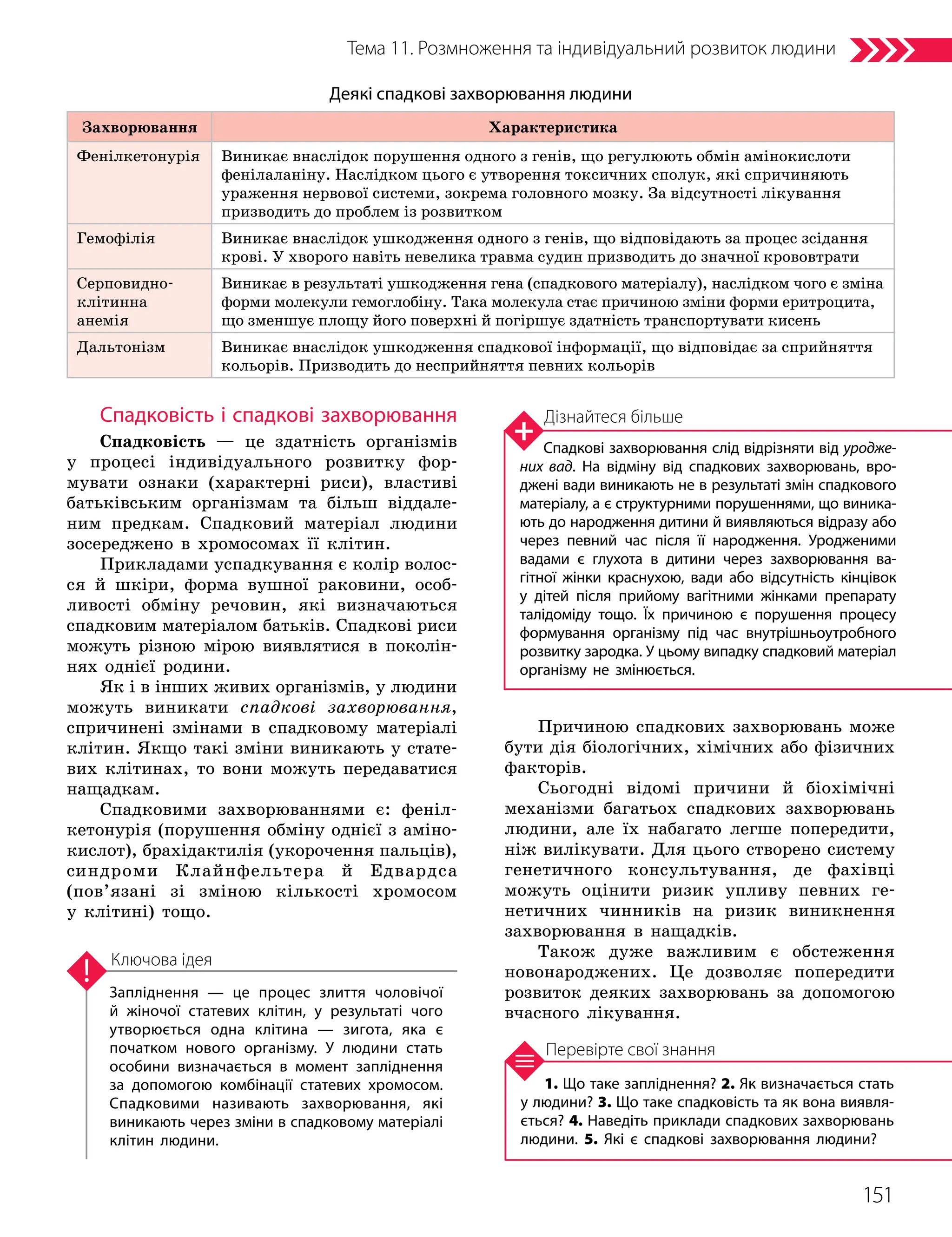 151
Тема 11. Розмноження та індивідуальний розвиток людини
1. Що таке запліднення? 2. Як визначається стать
у людини? 3. Що таке спадковість та як вона виявля­
ється? 4. Наведіть приклади спадкових захворювань
людини. 5. Які є спадкові захворювання людини?
Перевірте свої знання
Запліднення — це процес злиття чоловічої
й жіночої статевих клітин, у результаті чого
утворюється одна клітина — зигота, яка є
початком нового організму. У людини стать
особини визначається в момент запліднення
за допомогою комбінації статевих хромосом.
Спадковими називають захворювання, які
виникають через зміни в спадковому матеріалі
клітин людини.
Ключова ідея
Спадковість і спадкові захворювання
Спадковість — це здатність організмів
у процесі індивідуального розвитку фор-
мувати ознаки (характерні риси), властиві
батьківським організмам та більш віддале-
ним предкам. Спадковий матеріал людини
зосереджено в хромосомах її клітин.
Прикладами успадкування є колір волос-
ся й шкіри, форма вушної раковини, особ­
ливості обміну речовин, які визначаються
спадковим матеріалом батьків. Спадкові риси
можуть різною мірою виявлятися в поколін-
нях однієї родини.
Як і в інших живих організмів, у людини
можуть виникати спадкові захворювання,
спричинені змінами в спадковому матеріалі
клітин. Якщо такі зміни виникають у стате-
вих клітинах, то вони можуть передаватися
нащадкам.
Спадковими захворюваннями є: феніл­
кетонурія (порушення обміну однієї з аміно­
кислот), брахідактилія (укорочення пальців),
синдроми Клайнфельтера й Едвардса
(пов’язані зі зміною кількості хромосом
у клітині) тощо.
Причиною спадкових захворювань може
бути дія біологічних, хімічних або фізичних
факторів.
Сьогодні відомі причини й біохімічні
механізми багатьох спадкових захворювань
людини, але їх набагато легше попередити,
ніж вилікувати. Для цього створено систему
генетичного консультування, де фахівці
можуть оцінити ризик упливу певних ге-
нетичних чинників на ризик виникнення
захворювання в нащадків.
Також дуже важливим є обстеження
новонароджених. Це дозволяє попередити
розвиток деяких захворювань за допомогою
вчасного лікування.
Деякі спадкові захворювання людини
Захворювання Характеристика
Фенілкетонурія Виникає внаслідок порушення одного з генів, що регулюють обмін амінокислоти
фенілаланіну. Наслідком цього є утворення токсичних сполук, які спричиняють
ураження нервової системи, зокрема головного мозку. За відсутності лікування
призводить до проблем із розвитком
Гемофілія Виникає внаслідок ушкодження одного з генів, що відповідають за процес зсідання
крові. У хворого навіть невелика травма судин призводить до значної крововтрати
Серповидно­
клітинна
анемія
Виникає в результаті ушкодження гена (спадкового матеріалу), наслідком чого є зміна
форми молекули гемоглобіну. Така молекула стає причиною зміни форми еритроцита,
що зменшує площу його поверхні й погіршує здатність транспортувати кисень
Дальтонізм Виникає внаслідок ушкодження спадкової інформації, що відповідає за сприйняття
кольорів. Призводить до несприйняття певних кольорів
Дізнайтеся більше
Спадкові захворювання слід відрізняти від уродже-
них вад. На відміну від спадкових захворювань, вро­
джені вади виникають не в результаті змін спадкового
матеріалу, а є структурними порушеннями, що виника­
ють до народження дитини й виявляються відразу або
через певний час після її народження. Уродженими
вадами є глухота в дитини через захворювання ва­
гітної жінки краснухою, вади або відсутність кінцівок
у дітей після прийому вагітними жінками препарату
талідоміду тощо. Їх причиною є порушення процесу
формування організму під час внутрішньоутробного
розвитку зародка. У цьому випадку спадковий матеріал
організму не змінюється.
 