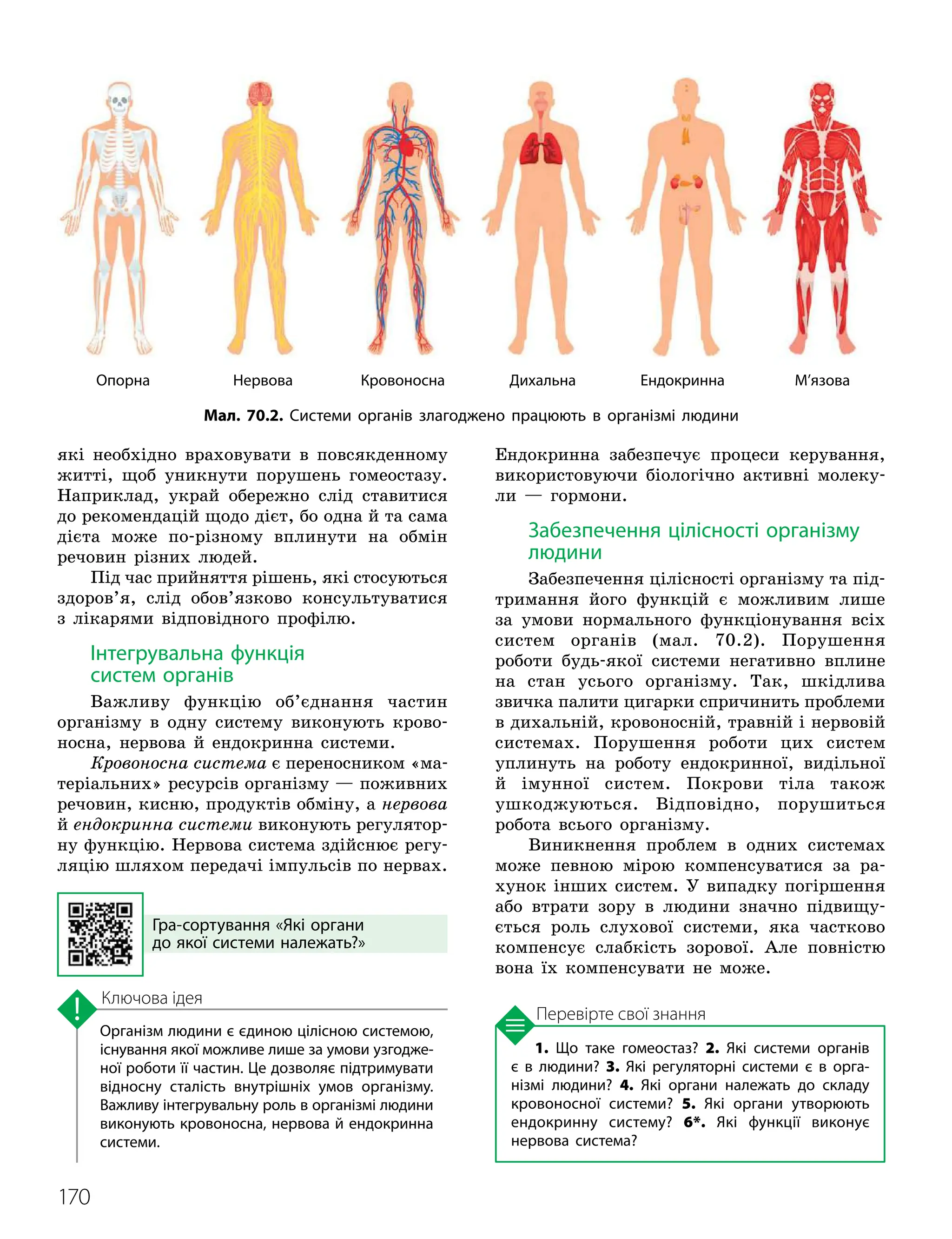 170
1. Що таке гомеостаз? 2. Які системи органів
є в людини? 3. Які регуляторні системи є в орга­
нізмі людини? 4. Які органи належать до складу
кровоносної системи? 5. Які органи утворюють
ендокринну систему? 6*. Які функції виконує
нервова система?
Організм людини є єдиною цілісною системою,
існування якої можливе лише за умови узгодже­
ної роботи її частин. Це дозволяє підтримувати
відносну сталість внутрішніх умов організму.
Важливу інтегрувальну роль в організмі людини
виконують кровоносна, нервова й ендокринна
системи.
Ключова ідея
Перевірте свої знання
які необхідно враховувати в повсякденному
житті, щоб уникнути порушень гомеостазу.
Наприклад, украй обережно слід ставитися
до рекомендацій щодо дієт, бо одна й та сама
дієта може по-різному вплинути на обмін
речовин різних людей.
Під час прийняття рішень, які стосуються
здоров’я, слід обов’язково консультуватися
з лікарями відповідного профілю.
Інтегрувальна функція
систем органів
Важливу функцію об’єднання частин
організму в одну систему виконують крово-
носна, нервова й ендокринна системи.
Кровоносна система є переносником «ма-
теріальних» ресурсів організму — поживних
речовин, кисню, продуктів обміну, а нервова
й ендокринна системи виконують регулятор-
ну функцію. Нервова система здійснює регу-
ляцію шляхом передачі імпульсів по нервах.
Ендокринна забезпечує процеси керування,
використовуючи біологічно активні молеку-
ли — гормони.
Забезпечення цілісності організму
людини
Забезпечення цілісності організму та під-
тримання його функцій є можливим лише
за умови нормального функціонування всіх
систем органів (мал. 70.2). Порушення
роботи будь-якої системи негативно вплине
на стан усього організму. Так, шкідлива
звичка палити цигарки спричинить проблеми
в дихальній, кровоносній, травній і нервовій
системах. Порушення роботи цих систем
уплинуть на роботу ендокринної, видільної
й імунної систем. Покрови тіла також
ушкоджуються. Відповідно, порушиться
робота всього організму.
Виникнення проблем в одних системах
може певною мірою компенсуватися за ра-
хунок інших систем. У випадку погіршення
або втрати зору в людини значно підвищу-
ється роль слухової системи, яка частково
компенсує слабкість зорової. Але повністю
вона їх компенсувати не може.
Мал. 70.2. Системи органів злагоджено працюють в організмі людини
Опорна Нервова Кровоносна Дихальна Ендокринна М’язова
Гра
-
сортування «Які органи
до якої системи належать?»
 
