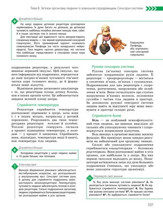 107
Тема 8. Зв’язок організму людини із зовнішнім середовищем. Сенсорні системи
1. Яку роль виконує система рівноваги? 2. Як
реалізується тактильна чутливість людини? 3. Як від­
бувається сприйняття температури? 4. Яку будову
має рухова сенсорна система? 5*. Як працює система
рівноваги? 6*. Як відбувається сприйняття болю?
Перевірте свої знання
Функція збереження рівноваги забезпечується
вестибулярним апаратом, що розташований
у внутрішньому вусі. Сенсорні системи руху
й дотику для сприйняття подразнень вико­
ристовують механорецептори. Температурну
чутливість людини забезпечують теплові й холо­
дові рецептори. Сильні подразнення організму
людини сприймаються больовими рецепторами,
які розташовані майже в усіх органах.
Ключова ідея
подразнення рецептора, у результаті чого
виникає нервовий імпульс. Цей імпульс, що
несе інформацію від подразника, передається
до зони шкірно-м’язової чутливості тім’яної
частки кори головного мозку, де й форму-
ються певні відчуття.
Відмінною рисою дотикового аналізатора
є те, що рецепторна площа дотику більша,
ніж в інших органів чуття. Це забезпечується
завдяки великій площі шкіри.
Сприйняття температури
Рецептори сприйняття температури
розташовані переважно в шкірі, хоча вони
є і в інших місцях, наприклад у ротовій
порожнині. Розрізняють два типи темпе-
ратурних рецепторів: теплові й холодові.
Теплові рецептори генерують сигнали
в процесі підвищення температури, а холо-
дові — у процесі її зниження. Сприймають
вони, відповідно, температури вищі й нижчі,
ніж температура тіла людини.
Рухова сенсорна система
Рухова (м’язова) сенсорна система
забезпечує координацію рухів людини. Її
рецептори — пропріорецептори — містяться
в скелетних м’язах, зв’язках і сухожилках.
Подразниками для цих рецепторів є скоро-
чення, розтягнення, напруження або ослаб­
лення м’язів. Вони сигналізують про ступінь
напруження м’язових волокон, положення
суглобів і частин тіла людини в просторі.
За допомогою рухової сенсорної системи
людина навіть за відсутності зору може вико-
нувати в просторі складні рухи.
Сприйняття болю
Біль — це особливий психофізіологіч-
ний стан людини, що виникає внаслідок дії
сильних або ушкоджуючих чинників і супро-
воджується неприємним відчуттям.
Біль виконує в організмі важливу захисну
функцію. Він примушує мозок швидко реагу-
вати на небезпечний для організму чинник.
Сильні або ушкоджуючі подразнення
сприймаються ноцицепторами — больовими
рецепторами. Вони розташовані майже в усіх
органах, але найбільше їх у шкірі. Від них
нервові імпульси надходять до мозку. Ноци-
цептори активуються лише під дією больового
подразнення (чинника, що ушкоджує або
може ушкодити структури організму).
Гомункулюс
Пенфілда,
або кортикаль­
ний сенсорний
гомункулюс
Дізнайтеся більше
На шкірі людини дотикові рецептори розподілені
нерівномірно. Їх дуже багато на ділянках, де дотикова
чутливість найбільш потрібна (кінчики пальців, язик, губи).
А в інших частинах тіла їх значно менше.
Для ілюстрації цієї відмінності часто використовують
спеціальну модель — так званий кортикальний сенсорний
гомункулюс. Його тривимірний варіант називають
гомункулюсом Пенфілда (на честь канадського нейро­
хірурга). Така модель наочно демонструє, які частини
тіла найбільше «представлені» в сенсорних зонах кори
головного мозку.
Дізнайтеся більше
Холодових рецепторів у шкірі людини майже
в 10 разів більше, ніж теплових.
 