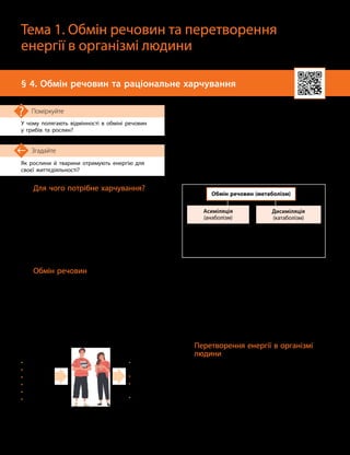 14
Як рослини й тварини отримують енергію для
своєї життєдіяльності?
Згадайте
§ 4. Обмін речовин та раціональне харчування
Для чого потрібне харчування?
Тіло людини побудоване з різноманітних
речовин, значна частина яких є органічни-
ми. Але, як і будь-який тваринний організм,
наш організм не здатен самостійно утворюва-
ти органічні речовини з неорганічних. Тому
для функціонування свого тіла людина має
отримувати необхідні речовини з їжі. Орга-
нізму також потрібна енергія для здійснення
біохімічних реакцій.
Обмін речовин
В організмі людини відбувається вели-
ка кількість хімічних реакцій, у ході яких
утворюються й розкладаються різні речовини.
Усі ці процеси називають обміном речовин,
або метаболізмом.
Обмін речовин — сукупність змін, що
відбуваються з речовинами від їх надходжен-
У чому полягають відмінності в обміні речовин
у грибів та рослин?
Поміркуйте

Тема 1. Обмін речовин та перетворення
енергії в організмі людини
ня в організм до утворення кінцевих про-
дуктів розпаду й виведення їх з організму.
Процеси обміну речовин можна поділити
на дві великі групи:
•синтез складних сполук із простіших
(асиміляція, або анаболізм), під час якого
організм витрачає енергію;
•розклад складних речовин на простіші
(дисиміляція, або катаболізм), під час якого
організм накопичує енергію.
Обмін речовин (метаболізм)
Дисиміляція
(катаболізм)
Асиміляція
(анаболізм)
Синтез складних
речовин із простіших
Енергія витрачається
Розщеплення складних
речовин на простіші
Енергія виділяється
й запасається
Як відбувається обмін речовин? Спожиті
з їжею речовини зазнають хімічних пере-
творень. Продукти травлення переносяться
кров’ю до всіх клітин тіла. Усередині клітин
відбуваються основні біохімічні процеси:
утворення чи розщеплення речовин, а побічні
продукти виділяються з організму (мал. 4.1).
Обмін речовин забезпечує всі процеси
життєдіяльності та є основною властивістю
живих організмів.
Перетворення енергії в організмі
людини
Джерелом речовин і, відповідно, енергії
для організму людини є їжа. Усі отримані
з неї речовини транспортуються в клітини
тіла. Там, у цитоплазмі та спеціальних
органелах — мітохондріях, — відбувається
окиснення речовин киснем, який надходить
до організму під час дихання. Відбувається ре-
акція, яку можна порівняти з горінням дров
у багатті. Проте в мітохондріях значна частина
До організму
надходять:
• Білки
• Жири
• Вуглеводи
• Вода
• Кисень
•

Мінеральні
речовини
З організму
виводяться:
•

Продукти
обміну
• Вода
•

Вуглекислий
газ
• Теплота
Мал. 4.1. Організм людини здійснює
обмін речовин із навколишнім середовищем
 