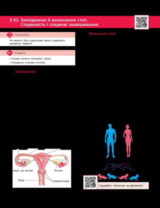 150
Тема 11. Розмноження та індивідуальний розвиток людини
• Статеві клітини чоловіків і жінок
• Утворення статевих клітини
Згадайте
§ 62. 
Запліднення й визначення статі.
Спадковість і спадкові захворювання
Чи можуть бути корисними зміни спадкового
матеріалу людини?
Поміркуйте
Запліднення
Запліднення — це процес злиття зрілих
статевих клітин: чоловічої (сперматозоїда)
і жіночої (яйцеклітини), у результаті чого
утворюється одна клітина — зигота, що є
зародком нового організму.
Під час статевого акту в піхву впорску-
ється 3–5 мл сперми — суміші сперматозоїдів
із виділеннями чоловічих залоз. У спер-
мі міститься 200–500 млн сперматозоїдів,
які мають властивість рухатися. Із піхви
спермато
­
зоїди переміщуються в матку, а по-
тім — у маткові труби, де й зустрічаються
з яйцеклітиною (мал. 62.1).
Яйцеклітина самостійно рухатися не
може. Її рухи забезпечуються скороченнями
м’язів стінки маткової труби та роботою війок
епітелію. Зріла яйцеклітина після овуляції
потрапляє спочатку в черевну порожнину,
а далі — у маткову трубу, де зазвичай
і відбувається запліднення (мал. 62.1).
Визначення статі
У людини стать особини визначається
в момент запліднення. Вона зумовлена пев-
ною комбінацією статевих хромосом, які
містяться в статевих клітинах.
Представники жіночої статі мають у клі-
тинах тіла по дві X-хромосоми (XX), а чоло-
вічої статі мають в клітинах одну X- і одну
Y-хромосоми (XY).
Особливістю статевих клітин є те, що
вони містять лише по одній хромосомі:
•у жінок у яйцеклітині одна Х-хромо
­
сома;
•у чоловіків одна половина сперматозої-
дів містить Х-хромосому, а інша — Y-хромо
­
сому.
Отже, під час запліднення можливі різні
комбінації поєднання хромосом.
Якщо в момент запліднення з яйце-
клітиною злився сперматозоїд, який має
Х-хромосому, то народиться дівчинка.
А якщо сперматозоїд мав Y-хромосому, то
народиться хлопчик (мал. 62.2).
Під час запліднення чоловічі й жіночі
зиготи можуть утворюватися приблизно з од-
наковою імовірністю.
Мал. 62.1. Запліднення — злиття яйцеклітини
і сперматозоїда
Піхва
Матка
Маткова труба
Яєчник
Фолікул, що луснув
Сперматозоїди
Яйцеклітина
Скрайбінг «Хлопчик чи дівчинка?»
Мал. 62.2. Механізм визначення статі в людини
 