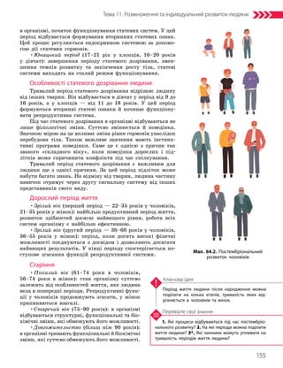 155
Тема 11. Розмноження та індивідуальний розвиток людини
1. Які процеси відбуваються під час постембріо­
нального розвитку? 2. На які періоди можна поділити
життя людини? 3*. Які чинники можуть упливати на
тривалість періодів життя людини?
Перевірте свої знання
Період життя людини після народження можна
поділити на кілька етапів, тривалість яких від­
різняється в чоловіків та жінок.
Ключова ідея
в організмі, початок функціонування статевих систем. У цей
період відбувається формування вторинних статевих ознак.
Цей процес регулюється ендокринною системою за допомо-
гою дії статевих гормонів.
•Юнацький період (17–21 рік у хлопців, 16–20 років
у дівчат): завершення періоду статевого дозрівання, змен-
шення темпів розвитку та закінчення росту тіла, статеві
системи виходять на сталий режим функціонування.
Особливості статевого дозрівання людини
Тривалий період статевого дозрівання відрізняє людину
від інших тварин. Він відбувається в дівчат у період від 9 до
16 років, а у хлопців — від 11 до 18 років. У цей період
формуються вторинні статеві ознаки й починає функціону-
вати репродуктивна система.
Під час статевого дозрівання в організмі відбуваються не
лише фізіологічні зміни. Суттєво змінюється й поведінка.
Значною мірою на це впливає зміна рівня гормонів унаслідок
перебудови тіла. Також важливе значення мають інстинк-
тивні програми поведінки. Саме це є однією з причин так
званого «складного віку», коли поведінка дорослих і під-
літків може спричинити конфлікти під час спілкування.
Тривалий період статевого дозрівання є важливим для
людини ще з однієї причини. За цей період підліток може
набути багато знань. На відміну від тварин, людина частину
навичок отримує через другу сигнальну систему від інших
представників свого виду.
Дорослий період життя
•Зрілий вік (перший період — 22–35 років у чоловіків,
21–35 років у жінок): найбільш продуктивний період життя,
розвиток здібностей досягає найвищого рівня, робота всіх
систем організму є найбільш ефективною.
•Зрілий вік (другий період — 36–60 років у чоловіків,
36–55 років у жінок): період, коли досить високі фізичні
можливості поєднуються з досвідом і дозволяють досягати
найвищих результатів. У кінці періоду спостерігається по-
ступове згасання функцій репродуктивної системи.
Старіння
•Похилий вік (61–74 роки в чоловіків,
56–74 роки в жінок): стан організму суттєво
залежить від особливостей життя, яке людина
вела в попередні періоди. Репродуктивні функ-
ції у чоловіків продовжують згасати, у жінок
припиняються взагалі.
•Старечий вік (75–90 років): в організмі
відбуваються структурні, функціональні та біо-
хімічні зміни, які обмежу­
ють його можливості.
•Довгожительство (більш ніж 90 років):
в організмі тривають функціональні й біохімічні
зміни, які суттєво обмежують його можливості.
Мал. 64.2. Постембріональний
розвиток чоловіків
 