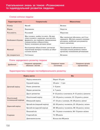 158
Тема 11. Розмноження та індивідуальний розвиток людини
Узагальнення знань за темою «Розмноження
та індивідуальний розвиток людини»
Статеві клітини людини
Характеристика Сперматозоїд Яйцеклітина
Розмір Малий Велика
Форма Видовжена Округла
Рухливість Рухливий Нерухома
Особливості будови
Має головку, шийку та хвіст. На вер-
хівці головки є акросома, яка містить
ферменти, що сприяють проникненню
сперматозоїда в яйцеклітину.
Запасу поживних речовин немає
Має спеціальні оболонки, які її по-
кривають. Містить запасні поживні
речовини, необхідні для розвитку
нового організму
Функції
Запліднення яйцеклітини: доставляє
генетичний матеріал чоловіка до яйце-
клітини жінки
Запліднення й забезпечення по-
чаткових етапів розвитку нового
організму поживними речовинами
Де утворюється Сім’яники Яєчники
Етапи зародкового розвитку людини
Дроблення
Утворення зародкових
оболонок і листків
Утворення тканин
(гістогенез)
Утворення органів
(органогенез)
Характеристика періодів постембріонального розвитку
Період життя Вік
Дитячий період
Період немовляти Перші 10 днів
Грудний період 10 днів — 1 рік
Раннє дитинство 1–3 роки
Перше дитинство 4–7 років
Друге дитинство 8–12 років у хлопчиків, 8–11 років у дівчаток
Підлітковий
та юнацький періоди
Підлітковий період 13–16 років у хлопців, 12–15 років у дівчат
Юнацький період 17–21 рік у хлопців, 16–20 років у дівчат
Дорослий період
Зрілий вік (перший період) 22–35 років у чоловіків, 21–35 років у жінок
Зрілий вік (другий період) 36–60 років у чоловіків, 36–55 років у жінок
Старіння
Похилий вік 61–74 роки в чоловіків, 56–74 роки в жінок
Старечий вік 75–90 років
Довгожительство Більш ніж 90 років
 