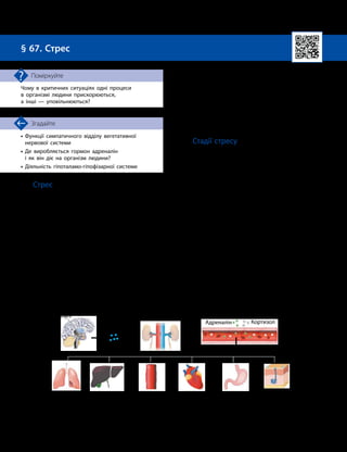 162
Тема 12. Адаптація і виживання людини за екстремальних умов
•

Функції симпатичного відділу вегетативної
нервової системи
•

Де виробляється гормон адреналін
і як він діє на організм людини?
• Діяльність гіпоталамо
-
гіпофізарної системи
Згадайте
§ 67. Стрес
Чому в критичних ситуаціях одні процеси
в організмі людини прискорюються,
а інші — уповільнюються?
Поміркуйте
Стрес
Стрес — загальна реакція організму на
дуже сильний зовнішній уплив. Він виникає
в разі дії на організм чинників (стресорів), які
порушують гомеостаз. Основна функція стре-
су — адаптація організму до умов, що змінили-
ся, його пристосування до конкретної ситуації.
Реакцію організму на дію стресорів за-
безпечує переважно діяльність гіпоталамо-
­
гіпофізарної системи. Її сигнали надходять
до симпатичного відділу вегетативної нервової
системи та мозкового шару надниркових залоз,
які на початковому етапі стресу виділяють гор-
мон адреналін, а в подальшому — кортизол.
І сигнали симпатичної нервової системи,
і дія адреналіну працюють на приведення
організму в стан підвищеної активності. Ви-
никає так звана реакція «бийся або тікай».
Вона забезпечує мобілізацію ресурсів орга-
нізму та його швидку відповідь на зміни
в навколишньому середовищі — підвищення
кров’яного тиску, збільшення частоти пуль-
су, розширення бронхів, підвищення рівня
глюкози в крові тощо (мал. 67.1).
Стадії стресу
Розрізняють три стадії стресу: стадія
тривоги, стадія адаптації, стадія виснажен-
ня (мал. 67.2).
Стадія тривоги. Організм визначає, що
виникла ситуація, яка може йому загрожу-
вати. Він починає шукати шляхи виходу.
Відбувається активація симпатичного відділу
вегетативної нервової системи. Ендокринна
система викидає низку гормонів (адреналін,
адренокортикотропний гормон, кортизол)
для мобілізації пристосувальних сил організ-
му. При цьому опірність організму зростає.
Стадія адаптації. Через мобілізацію ре-
сурсів під упливом нервової й гуморальної
систем здатність організму до опору збільшу-
ється, організм переходить до довготривалої
стратегії. Ця стадія є найуспішнішою для
подолання кризи. Організм пристосовується,
використовує свої компенсаторні можливості,
щоб упоратися із загрозою. Життєдіяльність
нормалізується.
Гіпофіз Адренокор­
тикотропний
гормон
Надниркові залози
Часте
дихання
Адреналін Кортизол
Пітливість
Розщеплення
глікогену
до глюкози
Підвищення
кров’яного
тиску
Прискорення
серцебиття
Сповільнення
травлення
Мал. 67.1. Відповідь організму на дію стресового фактора
 