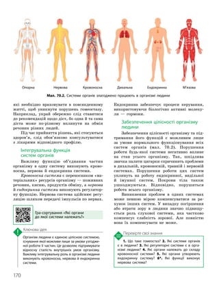 170
1. Що таке гомеостаз? 2. Які системи органів
є в людини? 3. Які регуляторні системи є в орга­
нізмі людини? 4. Які органи належать до складу
кровоносної системи? 5. Які органи утворюють
ендокринну систему? 6*. Які функції виконує
нервова система?
Організм людини є єдиною цілісною системою,
існування якої можливе лише за умови узгодже­
ної роботи її частин. Це дозволяє підтримувати
відносну сталість внутрішніх умов організму.
Важливу інтегрувальну роль в організмі людини
виконують кровоносна, нервова й ендокринна
системи.
Ключова ідея
Перевірте свої знання
які необхідно враховувати в повсякденному
житті, щоб уникнути порушень гомеостазу.
Наприклад, украй обережно слід ставитися
до рекомендацій щодо дієт, бо одна й та сама
дієта може по-різному вплинути на обмін
речовин різних людей.
Під час прийняття рішень, які стосуються
здоров’я, слід обов’язково консультуватися
з лікарями відповідного профілю.
Інтегрувальна функція
систем органів
Важливу функцію об’єднання частин
організму в одну систему виконують крово-
носна, нервова й ендокринна системи.
Кровоносна система є переносником «ма-
теріальних» ресурсів організму — поживних
речовин, кисню, продуктів обміну, а нервова
й ендокринна системи виконують регулятор-
ну функцію. Нервова система здійснює регу-
ляцію шляхом передачі імпульсів по нервах.
Ендокринна забезпечує процеси керування,
використовуючи біологічно активні молеку-
ли — гормони.
Забезпечення цілісності організму
людини
Забезпечення цілісності організму та під-
тримання його функцій є можливим лише
за умови нормального функціонування всіх
систем органів (мал. 70.2). Порушення
роботи будь-якої системи негативно вплине
на стан усього організму. Так, шкідлива
звичка палити цигарки спричинить проблеми
в дихальній, кровоносній, травній і нервовій
системах. Порушення роботи цих систем
уплинуть на роботу ендокринної, видільної
й імунної систем. Покрови тіла також
ушкоджуються. Відповідно, порушиться
робота всього організму.
Виникнення проблем в одних системах
може певною мірою компенсуватися за ра-
хунок інших систем. У випадку погіршення
або втрати зору в людини значно підвищу-
ється роль слухової системи, яка частково
компенсує слабкість зорової. Але повністю
вона їх компенсувати не може.
Мал. 70.2. Системи органів злагоджено працюють в організмі людини
Опорна Нервова Кровоносна Дихальна Ендокринна М’язова
Гра
-
сортування «Які органи
до якої системи належать?»
 