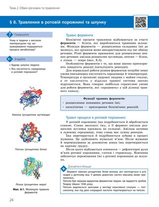 24
Тема 2. Обмін речовин та травлення
• Будову шлунка людини
•

Яка кислотність середовища
в ротовій порожнині?
Згадайте
§ 8. Травлення в ротовій порожнині та шлунку
Чому в людини з високою
температурою під час
захворювання порушуються
процеси метаболізму?
Поміркуйте Травні ферменти
Біохімічні процеси травлення відбуваються за участі
ферментів — білків, які виробляються травними залоза-
ми. Функція ферментів — розщеплення складових їжі до
молекул, які організм може використовувати під час обміну
речовин. Різні ферменти призначені для розщеплення пев-
них речовин: амілаза розщеплює вуглеводи, пепсин — білки,
а ліпаза — жири (мал. 8.1).
Особливістю ферментів є те, що вони значно прискорю-
ють швидкість реакції (каталізують реакцію).
Для нормальної роботи різним ферментам потрібні певні
умови (насамперед кислотність середовища й температура).
Температура в організмі здорової людини є майже сталою,
а от кислотність у відділах травної системи значно
відрізняється. Вона створює найбільш сприятливі умови
для роботи ферментів, які «працюють» у цій ділянці трав-
ного каналу.
Функції травних ферментів:
• розщеплення поживних речовин їжі;
• каталітична — прискорення біохімічних реакцій.
Травні процеси в ротовій порожнині
У ротовій порожнині їжа подрібнюється й обробляється
слиною. Слина зволожує їжу, а її фермент амілаза роз-
щеплює вуглевод крохмаль на складові. Амілаза активна
в лужному середовищі, тому слина має лужну реакцію.
Їжа перетирається й подрібнюється зубами в процесі
жування. Це здійснюють жувальні м’язи. Після жування
й перемішування за допомогою язика їжа перетворюється
на харчову грудку.
Після цього відбувається ковтання — рефлекторні рухи
м’язів ротової порожнини, глотки і стравоходу. Ковтання
забезпечує переміщення їжі з ротової порожнини до шлун-
ка.
Дізнайтеся більше
Фермент хімозин розщеплює білки молока, він синтезується в усіх
людей у дитячому віці. У деяких дорослих синтез хімозину може при­
пинятися.

Пепсин був першим відкритим ферментом тварин. Це відкриття зробив
Теодор Шванн 1836 року.

Пепсин виділяється залозами у вигляді неактивної сполуки — пеп­
синогену, яка під дією хлоридної кислоти перетворюється на пепсин.
Амілаза (розщеплює вуглеводи)
Пепсин (розщеплює білки)
Ліпаза (розщеплює жири)
Мал. 8.1. Молекули травних
ферментів
 