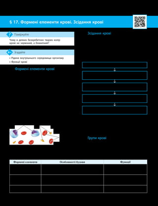 46
Тема 4. Транспорт речовин
• Рідини внутрішнього середовища організму
• Функції крові
Згадайте
§ 17. Формені елементи крові. Зсідання крові
Чому в деяких безхребетних тварин колір
крові не червоний, а блакитний?
Поміркуйте
Формені елементи крові
Формені елементи Особливості будови Функції
Еритроцити —
червоні формені
елементи крові
Зрілі еритроцити не мають ядра. Зовні вкриті
мембраною й наповнені білком гемоглобіном.
Форма клітин — увігнутий диск
Основна функція — перенесен-
ня кисню від легень до клітин
Лейкоцити —
безбарв
­
ні (білі)
клітини крові
Різноманітні за формою та розмірами Захист організму від мікро-
організмів, чужорідних білків,
токсинів тощо
Тромбоцити, або
кров’яні пластинки
Є не клітинами, а фрагментами клітин. Від-
повідно, не мають ядра
Відіграють важливу роль
у процесі зсідання крові
Формені елементи крові
До формених елементів крові нале-
жать еритроцити, лейкоцити та тромбоцити
(мал. 17.1). Їхні основні характеристики на-
ведені в таблиці.
Формені елементи крові утворюються
в червоному кістковому мозку.
Одним із поширених параметрів, який
досліджують у процесі аналізу крові, є визна-
чення лейкоцитарної формули. Ця формула
показує відсоткове співвідношення різних
типів лейкоцитів, які містяться в крові.
За лейкоцитарною формулою можна вияви-
ти наявність певних патологічних процесів
в організмі людини.
Зсідання крові
Зсідання крові — це процес формування
в крові ниток білка фібрину, які утворюють
кров’яний згусток — тромб. Зсідання крові
є захисною реакцією організму для запобі-
гання втраті крові.
Цей складний процес можна розглянути
як низку послідовних реакцій.
Ушкодження стінки судини
Взаємодія білків плазми
з тканинним білком тромбопластином
Тромбопластин запускає процес
перетворення протромбіну на білок тромбін
Тромбін взаємодіє з розчинним білком плазми фіб­
риногеном → утворюється нерозчинний білок фібрин
Довгі волокна фібрину переплітаються
й утворюють згусток — тромб
Тромб перекриває ушкоджену ділянку
й запобігає витіканню крові з організму
(мал. 17.2).
Процес зсідання крові також називають
коагуляцією крові, або гемокоагуляцією.
Групи крові
За певними біохімічними властивостями
крові, які зумовлені спадковими ознаками,
виділяють різні групи крові.
Мал. 17.1. Формені елементи крові
Еритроцити
Лейкоцити Тромбоцити
 