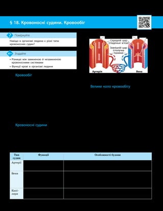 48
Тема 4. Транспорт речовин
•

Різницю між замкненою й незамкненою
кровоносними системами
• Функції крові в організмі людини
Згадайте
§ 18. Кровоносні судини. Кровообіг
Навіщо в організмі людини є різні типи
кровоносних судин?
Поміркуйте
Функції та будова кровоносних судин
Тип
судин
Функції Особливості будови
Артерії Проводять кров від серця
до капілярів
Мають витримувати високий тиск крові (до 150 мм рт. ст.),
тому в них товсті стінки з трьох оболонок, середня з яких
є добре розвиненим шаром гладеньких м’язів
Вени Збирають кров з усього
організму і проводять її до
серця
Венозна кров тече повільніше, тиск невисокий (–5…+5 мм рт. ст.),
тому стінки вен тонші й слабші, ніж артеріальні (хоча теж
складаються з трьох шарів). М’язовий шар слабко розвинений.
Для забезпечення руху венозної крові в одному напрямку у ве-
нах є спеціальні клапани
Капі-
ляри
Здійснюють обмін речовин
між кров’ю і тканинами,
з’єднують артерії з венами
Мікроскопічні судини; для полегшення обміну речовин мають
дуже тонкі стінки, утворені пласким одношаровим епітелієм.
Кров тече капілярами під незначним тиском (до 15мм рт.ст.)
Велике коло кровообігу
У системі кровообігу людини є велике
й мале кола кровообігу (мал. 18.2).
У великому колі кров циркулює через
усі системи органів. Тому цей кровообіг
називають системним кровообігом.
Велике коло починається в лівому шлу-
ночку серця, а закінчується в правому пе-
редсерді. З лівого шлуночка виштовхується
артеріальна кров, яка судинами поширюється
до тканин і клітин усього організму. Потра-
пивши через капіляри до тканин, вона віддає
кисень і насичується вуглекислим газом,
після чого перетворюється на венозну кров.
Ця кров венами транспортується до право-
го передсердя, далі — у правий шлуночок,
а з нього переходить у мале коло кровообігу.
Кровообіг
Кровообіг — це рух крові, який забез-
печує транспорт речовин в організмі. Крово
­
обіг здійснює серцево-судинна система, яка
складається із серця і кровоносних судин.
Основні функції кровообігу — транспорт-
на й захисна.
На кровообіг можуть упливати зовніш-
ні й внутрішні чинники. Так, за низьких
температур повітря відбувається перерозпо-
діл руху крові в судинах для збереження
тепла. А гормон адреналін активізує крово
­
обіг.
Кровоносні судини
В організмі людини є три типи крово-
носних судин: артерії, вени й капіляри.
Вони виконують різні функції, що зумовлює
відмінності в їхній будові (див. мал. 18.1 та
таблицю).
Мал. 18.1. Будова артерій і вен
Внутрішній шар
(епітеліальна тканина)
Артерія
(кров тече від серця)
Вена
(кров тече до серця)
Венозний
клапан
Капіляри
Зовнішній шар
(сполучна
тканина)
Середній шар
(гладенькі м’язи)
 