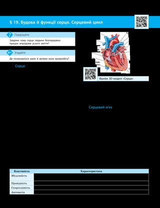 50
Тема 4. Транспорт речовин
Де починаються мале й велике кола кровообігу?
Згадайте
§ 19. Будова й функції серця. Серцевий цикл
Завдяки чому серце людини безперервно
працює впродовж усього життя?
Поміркуйте
Основні властивості серцевого м’яза
Властивість Характеристика
Збудливість Здатність переходити зі стану спокою до робочого стану під упливом зовнішніх змін,
тобто оперативно реагувати на різні подразники
Провідність Здатність поширювати по всьому серцю збудження, що виникло в якійсь його ділянці
Скоротливість Здатність м’язової тканини серця скорочуватися під упливом збудження
Автоматія Здатність серця скорочуватися під упливом імпульсів, що виникають у самому серці
Серце
Серце — це м’язовий орган кровоносної
системи, який забезпечує рух крові в орга-
нізмі людини. Воно розташоване в грудній
клітці в навколосерцевій сумці — перикар-
ді. Перикард — це тонка щільна оболонка,
що відокремлює серце від інших органів,
а також запобігає його зміщенню й надто
сильному розтягуванню. Маса серця дорослої
людини дорівнює 250–350 г.
Стінка серця складається з трьох шарів:
епікарда (зовнішній), міокарда (середній)
і ендокарда (внутрішній) (мал. 19.1). Най-
товщий із них — міокард, який є серцевим
м’язом, що забезпечує скорочення.
Усередині серце поділене на чотири каме-
ри: два шлуночки (правий і лівий) і два пе-
редсердя (праве і ліве). Права й ліва половини
серця не сполучаються між собою. У камерах
правої частини міститься лише венозна кров,
а в камерах лівої — артеріальна.
Щоб кров між камерами серця рухала-
ся тільки в одному напрямку, є клапани:
між лівим передсердям і лівим шлуночком —
двостулковий (мітральний) клапан, а між
правим передсердям і правим шлуночком —
тристулковий. Між лівим шлуночком та аор-
тою розміщений аортальний клапан, а між
правим шлуночком і легеневим стовбуром —
півмісяцевий клапан легеневої артерії.
Легеневий стовбур розгалужується на дві
легеневі артерії (ліву і праву).
Серцевий м’яз
Серцевий м’яз (міокард) безперервно
працює впродовж усього життя людини. Це
зумовлює його особливу будову й властивості,
що дозволили виділити окремий тип серцевої
м’язової тканини (див. таблицю).
М’язи передсердь і шлуночків не є однією
структурою. Вони відокремлені перегородкою
зі щільної тканини. Ця перегородка не про-
пускає збудження від м’язів передсердь до
м’язів шлуночків, завдяки чому вони можуть
скорочуватися незалежно одне від одного.
Узгодження скорочень передсердь і шлуноч-
ків відбувається за допомогою спеціально-
го пучка волокон, який з’єднує їхні центри
генерації ритмічних імпульсів.
Фрейм 3D
-
моделі «Серце»
Мал. 19.1. Будова серця людини
Аорта
Верхня порож­
ниста вена
Нижня порож­
ниста вена
Легеневий стовбур
Легенева артерія
Правий
шлуночок
Праве
передсердя
Лівий шлуночок
Ліве передсердя
Двостулковий
(мітральний)
клапан
Тристулковий
клапан
Аортальний
клапан
Півмісяцевий
клапан легене­
вої артерії
Епікард Міокард Ендокард
 