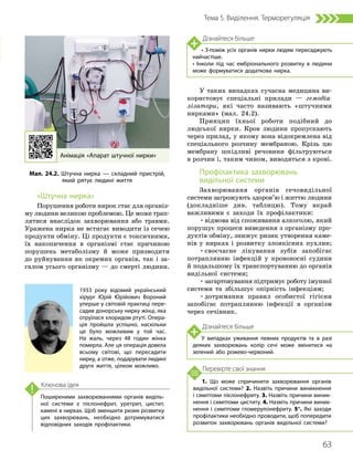 63
Тема 5. Виділення. Терморегуляція
1. Що може спричинити захворювання органів
видільної системи? 2. Назвіть причини виникнення
і симптоми пієлонефриту. 3. Назвіть причини виник­
нення і симптоми циститу. 4. Назвіть причини виник­
нення і симптоми гломерулонефриту. 5*. Які заходи
профілактики необхідно проводити, щоб попередити
розвиток захворювань органів видільної системи?
Перевірте свої знання
Поширеними захворюваннями органів виділь­
ної системи є пієлонефрит, уретрит, цистит,
камені в нирках. Щоб зменшити ризик розвит­
ку
цих захворювань, необхідно дотримуватися
відповідних заходів профілактики.
Ключова ідея
«Штучна нирка»
Порушення роботи нирок стає для організ-
му людини великою проблемою. Це може трап­
лятися внаслідок захворювання або травми.
Уражена нирка не встигає виводити із сечею
продукти обміну. Ці продукти є токсичними,
їх накопичення в організмі стає причиною
порушень метаболізму й може призводити
до руйнування як окремих органів, так і за-
галом усього організму — до смерті людини.
У таких випадках сучасна медицина ви-
користовує спеціальні прилади — гемодіа-
лізатори, які часто називають «штучними
нирками» (мал. 24.2).
Принцип їхньої роботи подібний до
людської нирки. Кров людини пропускають
через прилад, у якому вона відокремлена від
спеціального розчину мембраною. Крізь цю
мембрану шкідливі речовини фільтруються
в розчин і, таким чином, виводяться з крові.
Профілактика захворювань
видільної системи
Захворювання органів сечовидільної
системи загрожують здоров’ю і життю людини
(докладніше див. таблицю). Тому вкрай
важливими є заходи їх профілактики:
•відмова від споживання алкоголю, який
порушує процеси виведення з організму про-
дуктів обміну, знижує ризик утворення каме-
нів у нирках і розвитку злоякісних пухлин;
•своєчасне лікування зубів запобігає
потраплянню інфекцій у кровоносні судини
й подальшому їх транспортуванню до органів
видільної системи;
•загартовування підтримує роботу імунної
системи та збільшує опірність інфекціям;
•дотримання правил особистої гігієни
запобігає потраплянню інфекції в організм
через сечівник.
Анімація «Апарат штучної нирки»
Дізнайтеся більше
• З-поміж усіх органів нирки людям пересаджують
найчастіше.
• Інколи під час ембріонального розвитку в людини
може формуватися додаткова нирка.
Дізнайтеся більше
У випадках уживання певних продуктів та в разі
деяких захворювань колір сечі може змінитися на
зелений або рожево-червоний.
Мал. 24.2. Штучна нирка — складний пристрій,
який рятує людині життя
1933 року відомий український
хірург Юрій Юрійович Вороний
уперше у світовій практиці пере­
садив донорську нирку жінці, яка
отруїлася хлоридом ртуті. Опера­
ція пройшла успішно, наскільки
це було можливим у той час.
На жаль, через 48 годин жінка
померла. Але ця операція довела
всьому світові, що пересадити
нирку, а отже, подарувати людині
друге життя, цілком можливо.
 