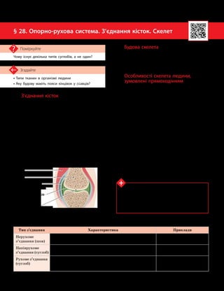 72
Тема 6. Опора та рух
• Типи тканин в організмі людини
• Яку будову мають пояси кінцівок у ссавців?
Згадайте
§ 28. Опорно-рухова система. З’єднання кісток. Скелет
Чому існує декілька типів суглобів, а не один?
Поміркуйте
Типи з’єднання кісток
Тип з’єднання Характеристика Приклади
Нерухоме
з’єднання (шов)
Утворене тонким шаром сполучної тканини між кістка-
ми. Забезпечує міцне з’єднання кісток і захист органів
Між кістками черепа
Напіврухоме
з’єднання (суглоб)
Кістки з’єднані одна з одною за допомогою хрящів.
Забезпечує обмежену рухливість
Міжхребцеві диски,
ребра з грудниною
Рухоме з’єднання
(суглоб)
Поверхні кісток у суглобі вкриті хрящем, розділені
порожниною із суглобовою рідиною та оточені суглобо-
вою сумкою
Ліктьовий, колінний
і плечовий суглоби
З’єднання кісток
З’єднання кісток можуть мати різний
ступінь рухливості. Рухомі й напіврухомі
з’єднання кісток називають суглобами,
а нерухомі — швами (див. таблицю).
Будова суглобів досить складна, що за-
безпечує різноманітні рухи (мал. 28.1). Су-
глобова сумка відокремлює суглоб від інших
структур. Під нею є порожнина, запов
­
нена
рідиною, яка забезпечує легкість руху кісток
одна відносно одної. Поверхні кісток укриті
гладеньким гіаліновим хрящем, що зменшує
тертя. Щоб запобігти ушкодженню тканин,
зв’язки суглоба обмежують рухи кісток.
Будова скелета
Скелет людини поділяють на декілька
великих відділів. Кістки кожного відділу
мають свої особливості будови, зумовлені
їхніми функціями (див. таблицю та мал. 28.2).
Особливості скелета людини,
зумовлені прямоходінням
Будова скелетів людини й ссавців схожа,
але скелет людини набув певних особливос-
тей, зумовлених прямоходінням:
•вертикальне розташування хребта, опо-
ра на дві нижні кінцівки;
•хребет не прямий, а має чотири виги-
ни — два вперед і два назад;
•таз чашоподібний, ширший, але корот-
ший, ніж у мавп (що ускладнює процес по-
логів у людини);
•потиличний отвір у нижній частині
черепа;
•розвинений мозковий відділ черепа
(у тварин більш розвинений лицьовий);
•кістки стоп утворюють склепіння, яке
робить ходіння людини пружним;
•рухливі кістки рук, що дозволяє вико-
нувати складні дії.
Мал. 28.1. Будова суглоба
Гіаліновий хрящ
Порожнина, запов­
нена рідиною
М’язи
Кістка
Суглобова сумка
Дізнайтеся більше
Перехід до прямоходіння розпочався у предків
людини приблизно 7 млн років тому. Саме тоді
в Африці жив найдавніший представник родини
Люди — сахельантроп. У нього вперше потилич­
ний отвір почав зміщуватися на нижню частину
черепа.
 