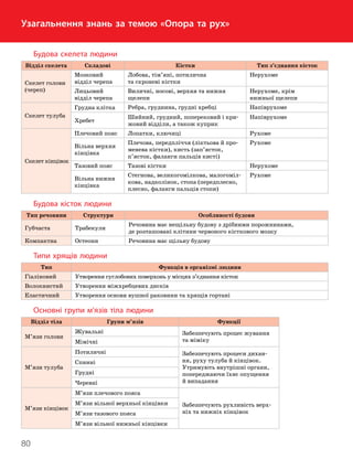 80
Тема 6. Опора та рух
Узагальнення знань за темою «Опора та рух»
Будова скелета людини
Відділ скелета Складові Кістки Тип з’єднання кісток
Скелет голови
(череп)
Мозковий
відділ черепа
Лобова, тім’яні, потилична
та скроневі кістки
Нерухоме
Лицьовий
відділ черепа
Виличні, носові, верхня та нижня
щелепи
Нерухоме, крім
нижньої щелепи
Скелет тулуба
Грудна клітка Ребра, груднина, грудні хребці Напіврухоме
Хребет
Шийний, грудний, поперековий і кри-
жовий відділи, а також куприк
Напіврухоме
Скелет кінцівок
Плечовий пояс Лопатки, ключиці Рухоме
Вільна верхня
кінцівка
Плечова, передпліччя (ліктьова й про-
менева кістки), кисть (зап’ясток,
п’ясток, фаланги пальців кисті)
Рухоме
Тазовий пояс Тазові кістки Нерухоме
Вільна нижня
кінцівка
Стегнова, великогомілкова, малогоміл-
кова, надколінок, стопа (передплесно,
плесно, фаланги пальців стопи)
Рухоме
Будова кісток людини
Тип речовини Структури Особливості будови
Губчаста Трабекули
Речовина має нещільну будову з дрібними порожнинами,
де розташовані клітини червоного кісткового мозку
Компактна Остеони Речовина має щільну будову
Типи хрящів людини
Тип Функція в організмі людини
Гіаліновий Утворення суглобових поверхонь у місцях з’єднання кісток
Волокнистий Утворення міжхребцевих дисків
Еластичний Утворення основи вушної раковини та хрящів гортані
Основні групи м’язів тіла людини
Відділ тіла Групи м’язів Функції
М’язи голови
Жувальні Забезпечують процес жування
та міміку
Мімічні
М’язи тулуба
Потиличні Забезпечують процеси дихан-
ня, руху тулуба й кінцівок.
Утримують внутрішні органи,
попереджаючи їхнє опущення
й випадання
Спинні
Грудні
Черевні
М’язи кінцівок
М’язи плечового пояса
Забезпечують рухливість верх-
ніх та нижніх кінцівок
М’язи вільної верхньої кінцівки
М’язи тазового пояса
М’язи вільної нижньої кінцівки
 