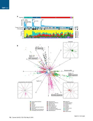 A
B
(legend on next page)
732 Cancer Cell 29, 723–736, May 9, 2016
 