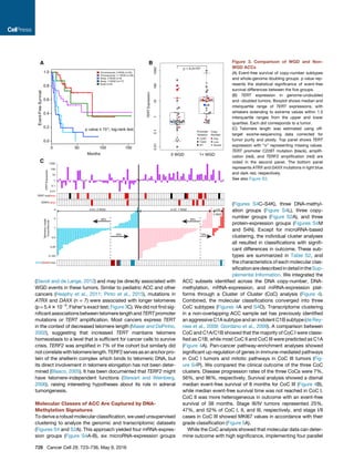 (Davoli and de Lange, 2012) and may be directly associated with
WGD events in these tumors. Similar to pediatric ACC and other
cancers (Heaphy et al., 2011; Pinto et al., 2015), mutations in
ATRX and DAXX (n = 7) were associated with longer telomeres
(p = 5.4 3 10À5
, Fisher’s exact test; Figure 3C). We did not ﬁnd sig-
niﬁcant associationsbetween telomere lengthand TERTpromoter
mutations or TERT ampliﬁcation. Most cancers express TERT
in the context of decreased telomere length (Maser and DePinho,
2002), suggesting that increased TERT maintains telomere
homeostasis to a level that is sufﬁcient for cancer cells to survive
crisis. TERF2 was ampliﬁed in 7% of the cohort but similarly did
notcorrelatewithtelomerelength.TERF2servesasananchorpro-
tein of the shelterin complex which binds to telomeric DNA, but
its direct involvement in telomere elongation has not been deter-
mined (Blasco, 2005). It has been documented that TERF2 might
have telomere-independent functions (Stewart and Weinberg,
2006), raising interesting hypotheses about its role in adrenal
tumorigenesis.
Molecular Classes of ACC Are Captured by DNA-
Methylation Signatures
To derive a robust molecular classiﬁcation, we used unsupervised
clustering to analyze the genomic and transcriptomic datasets
(Figures S4 and S2A). This approach yielded four mRNA-expres-
sion groups (Figure S4A-B), six microRNA-expression groups
A B
C
Figure 3. Comparison of WGD and Non-
WGD ACCs
(A) Event-free survival of copy-number subtypes
and whole-genome doubling groups. p value rep-
resents the statistical signiﬁcance of event-free
survival differences between the ﬁve groups.
(B) TERT expression in genome-undoubled
and -doubled tumors. Boxplot shows median and
interquartile range of TERT expressions, with
whiskers extending to extreme values within 1.5
interquartile ranges from the upper and lower
quartiles. Each dot corresponds to a tumor.
(C) Telomere length was estimated using off-
target exome-sequencing data corrected for
tumor purity and ploidy. Top panel shows TERT
expression with ‘‘x’’ representing missing values.
TERT promoter C228T mutation (black), ampliﬁ-
cation (red), and TERF2 ampliﬁcation (red) are
noted in the second panel. The bottom panel
represents ATRX and DAXX mutations in light blue
and dark red, respectively.
See also Figure S3.
(Figures S4C–S4K), three DNA-methyl-
ation groups (Figure S4L), three copy-
number groups (Figure S2A), and three
protein-expression groups (Figures S4M
and S4N). Except for microRNA-based
clustering, the individual cluster analyses
all resulted in classiﬁcations with signiﬁ-
cant differences in outcome. These sub-
types are summarized in Table S2, and
the characteristics of each molecular clas-
siﬁcationaredescribedindetailintheSup-
plemental Information. We integrated the
ACC subsets identiﬁed across the DNA copy-number, DNA-
methylation, mRNA-expression, and miRNA-expression plat-
forms through a Cluster of Cluster (CoC) analysis (Figure 4).
Combined, the molecular classiﬁcations converged into three
CoC subtypes (Figures 4A and S4O). Transcriptome clustering
in a non-overlapping ACC sample set has previously identiﬁed
an aggressive C1A subtype and an indolent C1B subtype (de Rey-
nies et al., 2009; Giordano et al., 2009). A comparison between
CoC and C1A/C1B showed that the majority of CoC I were classi-
ﬁed as C1B, while most CoC II and CoC III were predicted as C1A
(Figure 4A). Pan-cancer pathway-enrichment analyses showed
signiﬁcant up-regulation of genes in immune-mediated pathways
in CoC I tumors and mitotic pathways in CoC III tumors (Fig-
ure S4P). We compared the clinical outcome of the three CoC
clusters. Disease progression rates of the three CoCs were 7%,
56%, and 96%, respectively. Survival analysis showed a dismal
median event-free survival of 8 months for CoC III (Figure 4B),
while median event-free survival time was not reached in CoC I.
CoC II was more heterogeneous in outcome with an event-free
survival of 38 months. Stage III/IV tumors represented 25%,
47%, and 52% of CoC I, II, and III, respectively, and stage I/II
cases in CoC III showed MKI67 values in accordance with their
grade classiﬁcation (Figure 5A).
While the CoC analysis showed that molecular data can deter-
mine outcome with high signiﬁcance, implementing four parallel
728 Cancer Cell 29, 723–736, May 9, 2016
 