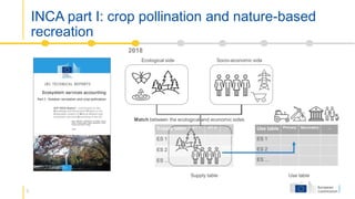 Accounting Inca Devices Integrated Natural Capital Accounting (INCA): Implementing the SEEA EA ...