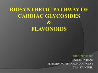 BIOSYNTHETIC PATHWAY OF
CARDIAC GLYCOSIDES
&
FLAVONOIDS
PRESENTED BY
G.SHOBHA RANI
M.PHARMACY(PHARMACOGNOSY)
CPS-IST-JNTUH.
 