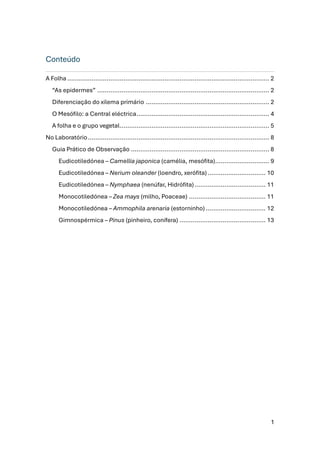 1
Conteúdo
A Folha ..........................................................................................................