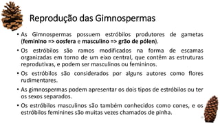 Reprodução das Gimnospermas
• As Gimnospermas possuem estróbilos produtores de gametas
(feminino => oosfera e masculino => grão de pólen).
• Os estróbilos são ramos modificados na forma de escamas
organizadas em torno de um eixo central, que contêm as estruturas
reprodutivas, e podem ser masculinos ou femininos.
• Os estróbilos são considerados por alguns autores como flores
rudimentares.
• As gimnospermas podem apresentar os dois tipos de estróbilos ou ter
os sexos separados.
• Os estróbilos masculinos são também conhecidos como cones, e os
estróbilos feminines são muitas vezes chamados de pinha.
19
 