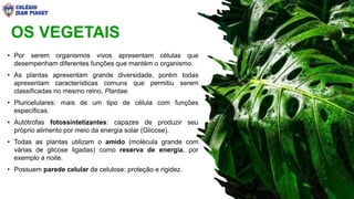 OS VEGETAIS
• Por serem organismos vivos apresentam células que
desempenham diferentes funções que mantém o organismo.
• As plantas apresentam grande diversidade, porém todas
apresentam características comuns que permitiu serem
classificadas no mesmo reino, Plantae.
• Pluricelulares: mais de um tipo de célula com funções
específicas.
• Autótrofas fotossintetizantes: capazes de produzir seu
próprio alimento por meio da energia solar (Glicose).
• Todas as plantas utilizam o amido (molécula grande com
várias de glicose ligadas) como reserva de energia, por
exemplo a noite.
• Possuem parede celular de celulose: proteção e rigidez.
2
 