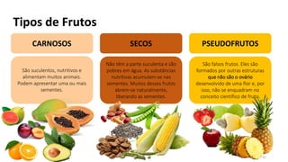 Tipos de Frutos
31
CARNOSOS SECOS PSEUDOFRUTOS
São suculentos, nutritivos e
alimentam muitos animais.
Podem apresentar uma ou mais
sementes.
Não têm a parte suculenta e são
pobres em água. As substâncias
nutritivas acumulam-se nas
sementes. Muitos desses frutos
abrem-se naturalmente,
liberando as sementes.
São falsos frutos. Eles são
formados por outras estruturas
que não são o ovário
desenvolvido de uma flor e, por
isso, não se enquadram no
conceito científico de fruto.
 