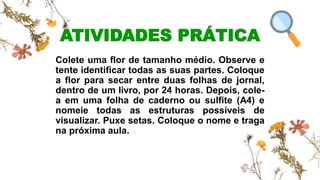 ATIVIDADES PRÁTICA
Colete uma flor de tamanho médio. Observe e
tente identificar todas as suas partes. Coloque
a flor para secar entre duas folhas de jornal,
dentro de um livro, por 24 horas. Depois, cole-
a em uma folha de caderno ou sulfite (A4) e
nomeie todas as estruturas possíveis de
visualizar. Puxe setas. Coloque o nome e traga
na próxima aula.
37
 