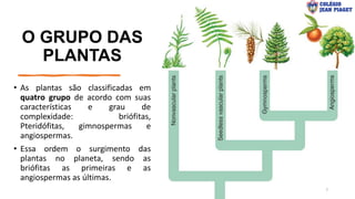O GRUPO DAS
PLANTAS
• As plantas são classificadas em
quatro grupo de acordo com suas
características e grau de
complexidade: briófitas,
Pteridófitas, gimnospermas e
angiospermas.
• Essa ordem o surgimento das
plantas no planeta, sendo as
briófitas as primeiras e as
angiospermas as últimas.
7
 