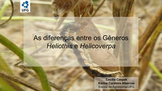 As diferenças entre os Gêneros
Heliothis e Helicoverpa

Cecilia Czepak
Karina Cordeiro Albernaz
Escola de Agronomia/UFG

 