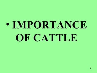 2
• IMPORTANCE
OF CATTLE
 