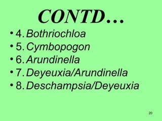 20
CONTD…
• 4.Bothriochloa
• 5.Cymbopogon
• 6.Arundinella
• 7.Deyeuxia/Arundinella
• 8.Deschampsia/Deyeuxia
 