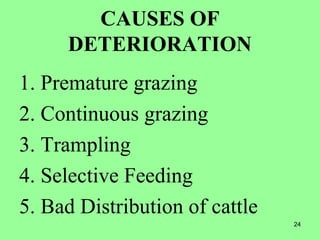 24
CAUSES OF
DETERIORATION
1. Premature grazing
2. Continuous grazing
3. Trampling
4. Selective Feeding
5. Bad Distribution of cattle
 