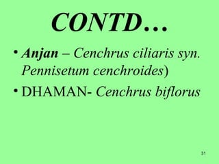 31
CONTD…
• Anjan – Cenchrus ciliaris syn.
Pennisetum cenchroides)
• DHAMAN- Cenchrus biflorus
 