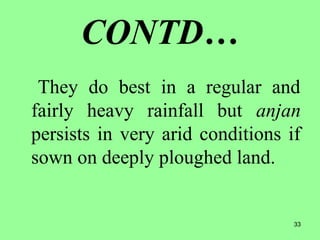 33
CONTD…
They do best in a regular and
fairly heavy rainfall but anjan
persists in very arid conditions if
sown on deeply ploughed land.
 