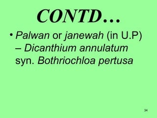34
CONTD…
• Palwan or janewah (in U.P)
– Dicanthium annulatum
syn. Bothriochloa pertusa
 