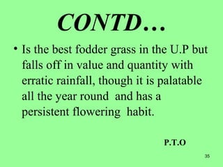 35
CONTD…
• Is the best fodder grass in the U.P but
falls off in value and quantity with
erratic rainfall, though it is palatable
all the year round and has a
persistent flowering habit.
P.T.O
 