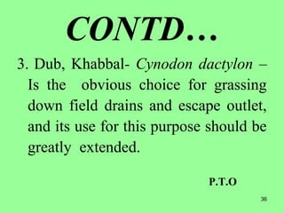 36
CONTD…
3. Dub, Khabbal- Cynodon dactylon –
Is the obvious choice for grassing
down field drains and escape outlet,
and its use for this purpose should be
greatly extended.
P.T.O
 