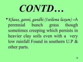 38
CONTD…
•Khaus, ganni, gandhi (Iseilema laxum) –A
perennial bunch grass though
sometimes creeping which persists in
heavier clay soils even with a very
low rainfall Found in southern U.P &
other parts.
 