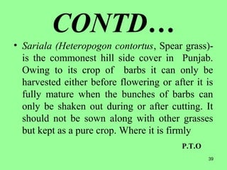 39
CONTD…
• Sariala (Heteropogon contortus, Spear grass)-
is the commonest hill side cover in Punjab.
Owing to its crop of barbs it can only be
harvested either before flowering or after it is
fully mature when the bunches of barbs can
only be shaken out during or after cutting. It
should not be sown along with other grasses
but kept as a pure crop. Where it is firmly
P.T.O
 
