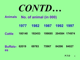 4
CONTD…
Animals No. of animal (in 000)
1977 1982 1987 1992 1997
Cattle 180140 192453 199695 204584 174974
Buffalo-
es
62019 69783 75967 84206 84027
P.T.O
 