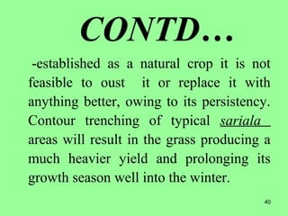 40
CONTD…
-established as a natural crop it is not
feasible to oust it or replace it with
anything better, owing to its persistency.
Contour trenching of typical sariala
areas will result in the grass producing a
much heavier yield and prolonging its
growth season well into the winter.
 