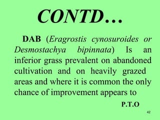 42
CONTD…
DAB (Eragrostis cynosuroides or
Desmostachya bipinnata) Is an
inferior grass prevalent on abandoned
cultivation and on heavily grazed
areas and where it is common the only
chance of improvement appears to
P.T.O
 