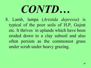 44
CONTD…
8. Lamb, lampa (Aristida depressa) is
typical of the poor soils of H.P, Gujrat
etc. It thrives in uplands which have been
eroded down to a clay subsoil and also
often persists as the commonest grass
under scrub under heavy grazing.
 