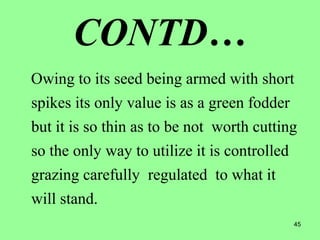 45
CONTD…
Owing to its seed being armed with short
spikes its only value is as a green fodder
but it is so thin as to be not worth cutting
so the only way to utilize it is controlled
grazing carefully regulated to what it
will stand.
 