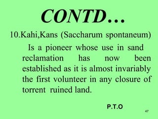 47
CONTD…
10.Kahi,Kans (Saccharum spontaneum)
Is a pioneer whose use in sand
reclamation has now been
established as it is almost invariably
the first volunteer in any closure of
torrent ruined land.
P.T.O
 