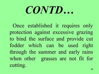 48
CONTD…
Once established it requires only
protection against excessive grazing
to bind the surface and provide cut
fodder which can be used right
through the summer and early rains
when other grasses are not fit for
cutting.
 