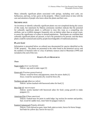 U.S. Bureau of Mines Twin Cities Research Center Property
Ethnographic Resources Study
Many culturally significant plants associated with springs, including miní yuhá, are
herbaceous, and may, in fact, grow on the property. Others would return in time with the
care and attention of people who know about the plants and their care.
SIGNIFICANCE
An inventory to identify culturally significant plants was not completed during the course
of this study, but statements by Dakota community members indicate that the potential
for culturally significant plants is sufficient to raise this issue as a compelling site
attribute, just as wildlife managers frequently rely on habitat rather than an actual count,
to assess the significance of a place to animal populations. Participants are confident that
culturally significant plants are present, or have the potential to be present, and that these
plants could be nurtured and used by people knowledgeable of traditional practices.
PLANT LIST
Information is presented below on cultural uses documented for species identified on the
TCRC property. The plants are presented in the order listed in the botanical survey and
the numbers in brackets refer to a key of primary sources cited in Moerman (1999) and
included at the end of this text.
DAKOTA PLANT RESOURCES
Trees
Sugar maple (Acer saccharum)
Dakota: sap used to make sugar [1]
Green ash (Fraxinus pennsylvanica)
Dakota: wood for bows and pipestems; stems for arrow shafts [1]
Sioux; wood for sacred poles [8]; wood for bows [9].
Northern red oak (Quercus rubra)
Dakota: acorns leached with basswood ashes for food [1]
Burr Oak (Q. macorcarpa)
Dakota: acorns leached with basswood ashes for food; young growth to make
popguns [1].
American Elm (Ulmus americna)
Dakota: Forked trees for posts in earth lodge; log section for mortars and pestles,
fuel, wood for saddle trees, inner bark for popgun wads [1]
Eastern Cottonwood (Populus deltoids)
Dakota: Fruit chewed as gum; inner bark eaten as tonic; leaves for horse forage;
leaf buds for yellow dye; leaves for toys [1]
 