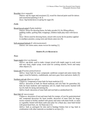 U.S. Bureau of Mines Twin Cities Research Center Property
Ethnographic Resources Study
Boxelder (Acer negundo)
Dakota: sap for sugar and sweetener [2], wood for charcoal paint used for tattoos
and ceremonial painting [1 & 2]
Sioux: Sap boiled down in spring for sugar [9]
Forbs
Broad-leaved cattail (Typha latifolia)
Dakota: Down for dressing burns; for baby powder [1]; for filling pillows,
padding cradles, quilting baby wrappings; children made play-mats with leaves
[2]
Sioux: Down used for dressing burns, mixed with coyote fat for poultice applied
to smallpox pustules; young roots and shoots eaten raw [9].
Soft-stemmed bulrush (S. tabernaemontani)
Dakota: raw stems eaten; stems woven for matting [1].
OJIBWE PLANT RESOURCES
Trees
Sugar maple (Acer saccharum)
Ojibwe: sap drink; used to make vinegar mixed with maple sugar to cook sweet
and sour meat; maple syrup; wood used for cooking utensils, bowls and many
other objects [3]
Green ash (Fraxinus pennsylvanica)
Ojibwe: Inner bark for tonic compound; cambrium scraped and eaten (tastes like
eggs); wood for basketry, cradleboards, and snow gear, bows and arrow shafts [3]
Northern red oak (Quercus rubra)
Chippewa: compound of inner bark for heart medicine [12]
Ojibwe: decoction of bark for blood medicine and root bark for gonorrhea [4];
bark for heart medicine and respiratory aid [3]; staple food acorns leached with
lye [3]; bark for dying and tanning [4];
Ojibwe South: decoction of inner bark and root bark as antidiarrheal [5].
Burr Oak (Q. macorcarpa)
Chippewa: decoction of root and inner bark for cramps, of root for gastrointestinal
aid; compound decoction for heart trouble, decoction of inner bark for lungs;
acorns roasted or boiled, mashed with grease and eaten with duck broth; or eaten
as vegetable; boiled with black earth and ocher for a black dye; inner bark boiled
with green hazel burs, etc. for black dye [12].
Ojibwe: bark as astringent for skin and to bandage broken foot or leg; bark in
combination with other materials as mordant to set dyes [3].
 